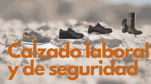 Calzado profesional 2025